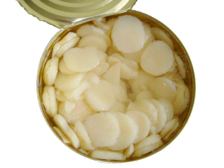 Vegetable Canned Water Chestnut with Best Price