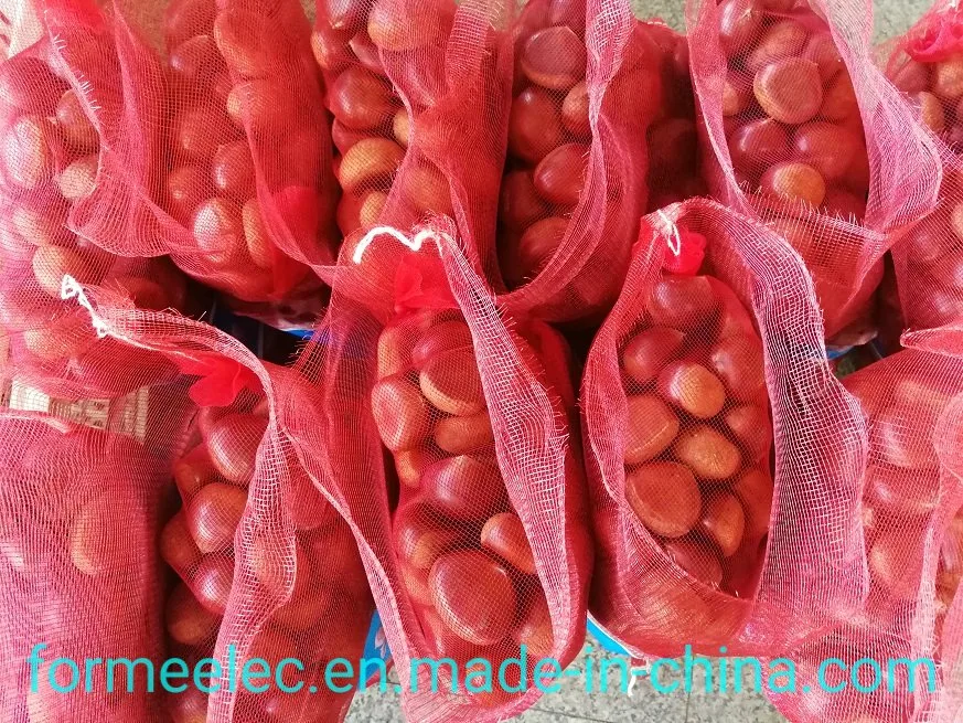 Dried Fruit Chinese Chestnut Fresh Chestnut China Chestnuts