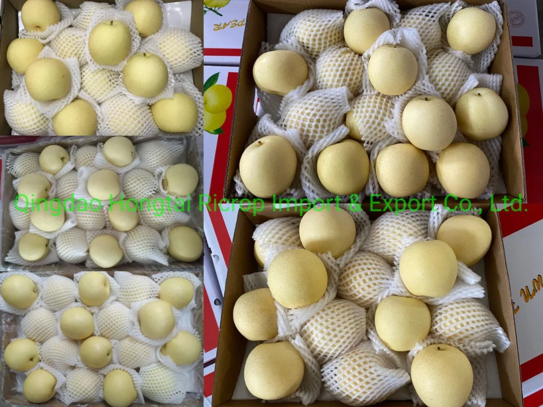 2022 New Crop Fresh Fruit Fresh Pear in Sweet Juicy Nashi/Ya/Fengshui/Diamond/Su