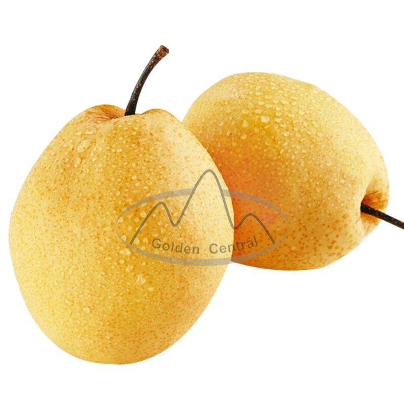 Chinese Fresh Yellow Ya Pear