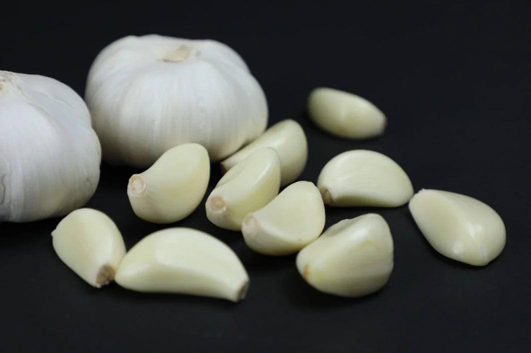 Fresh Peeled Garlic Normal White /Pure White Garlic