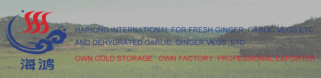 2019 Hot Sales Fresh Ginger Semi Dry or Full Dry