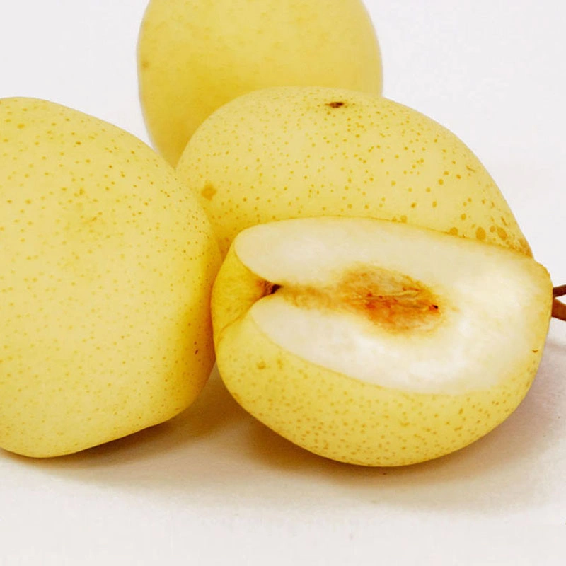 Chinese Fresh Yellow Ya Pear