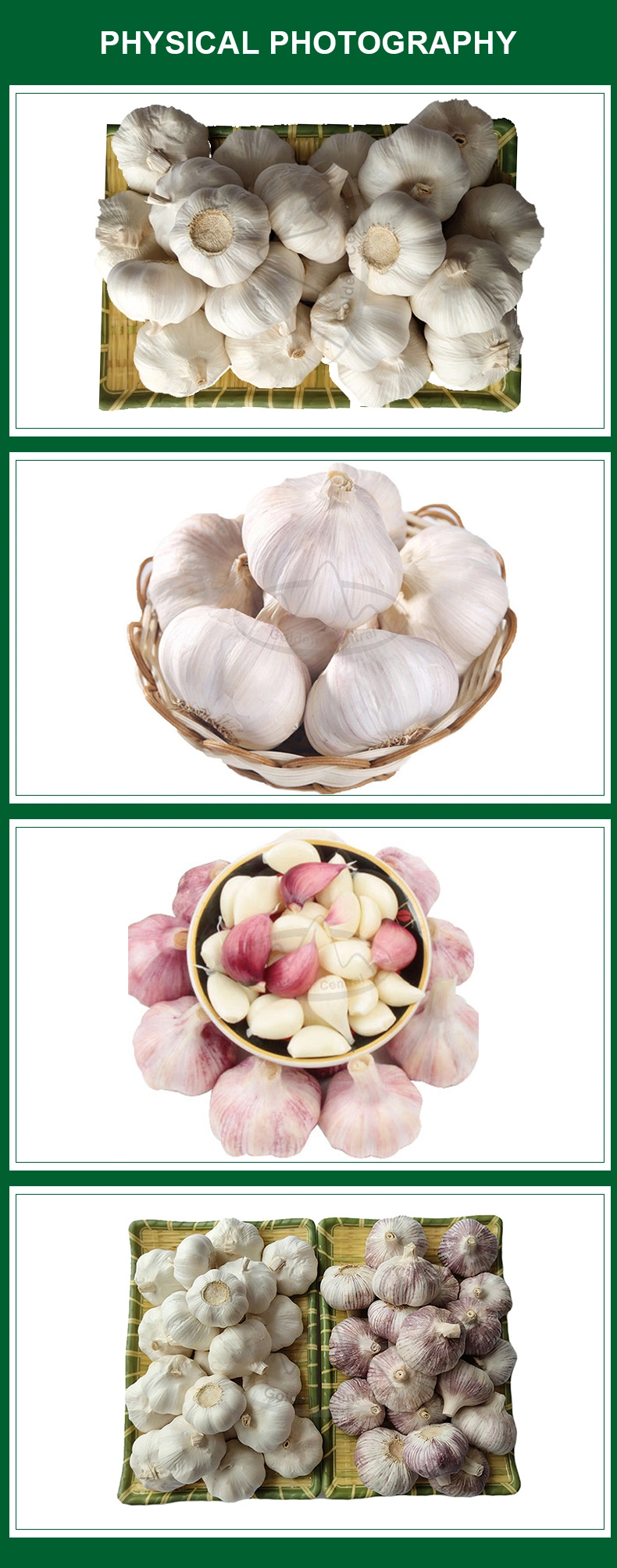 Top Quality Fresh Peeled Garlic