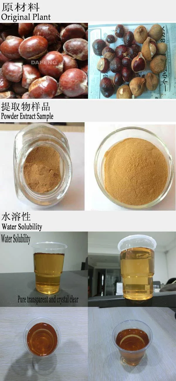 Natural Horse Chestnut Extract, Chestnut Tanin Powder of Aescin 20% UV