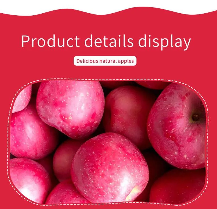 Natural Apple Fruit Fresh Red FUJI Bulk Fresh Apples Fruit From China