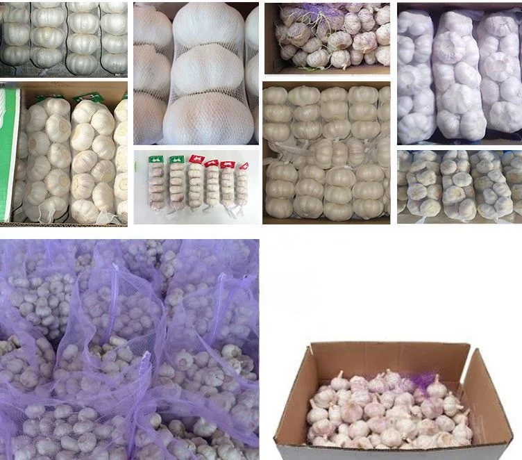 2023 China Garlic Wholesale Price