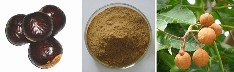 100% Natural EU Organic Horse Chestnut Seed Extract Powder