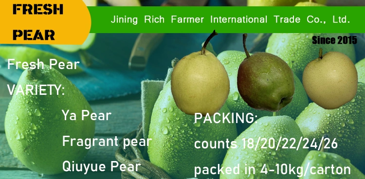 Ya Pear 2022 Chinese Sweet and Juicy Fresh Pear