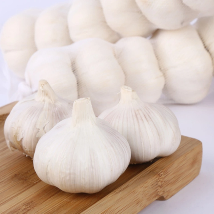 Wholesale Fresh Garlic White Garlic with Per Ton Price