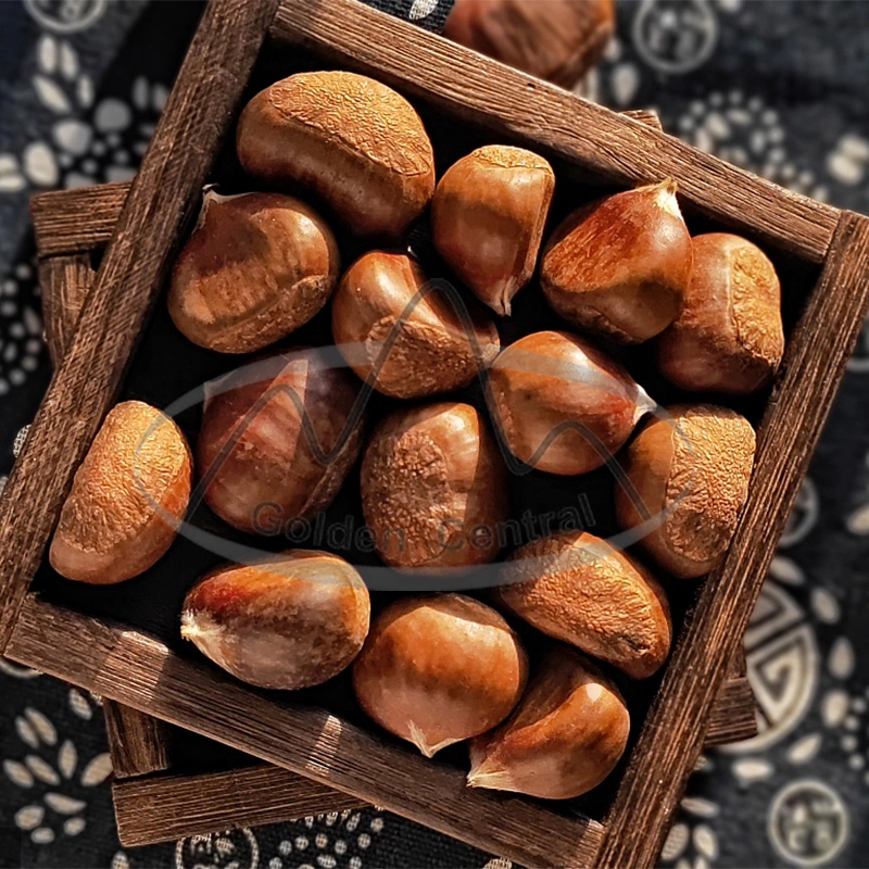 2023 New Cropfirst Quality Foods Raw Organic Fresh Chestnuts