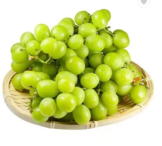 Wholesale 100% Natural Sunshine Fresh Green Grapes