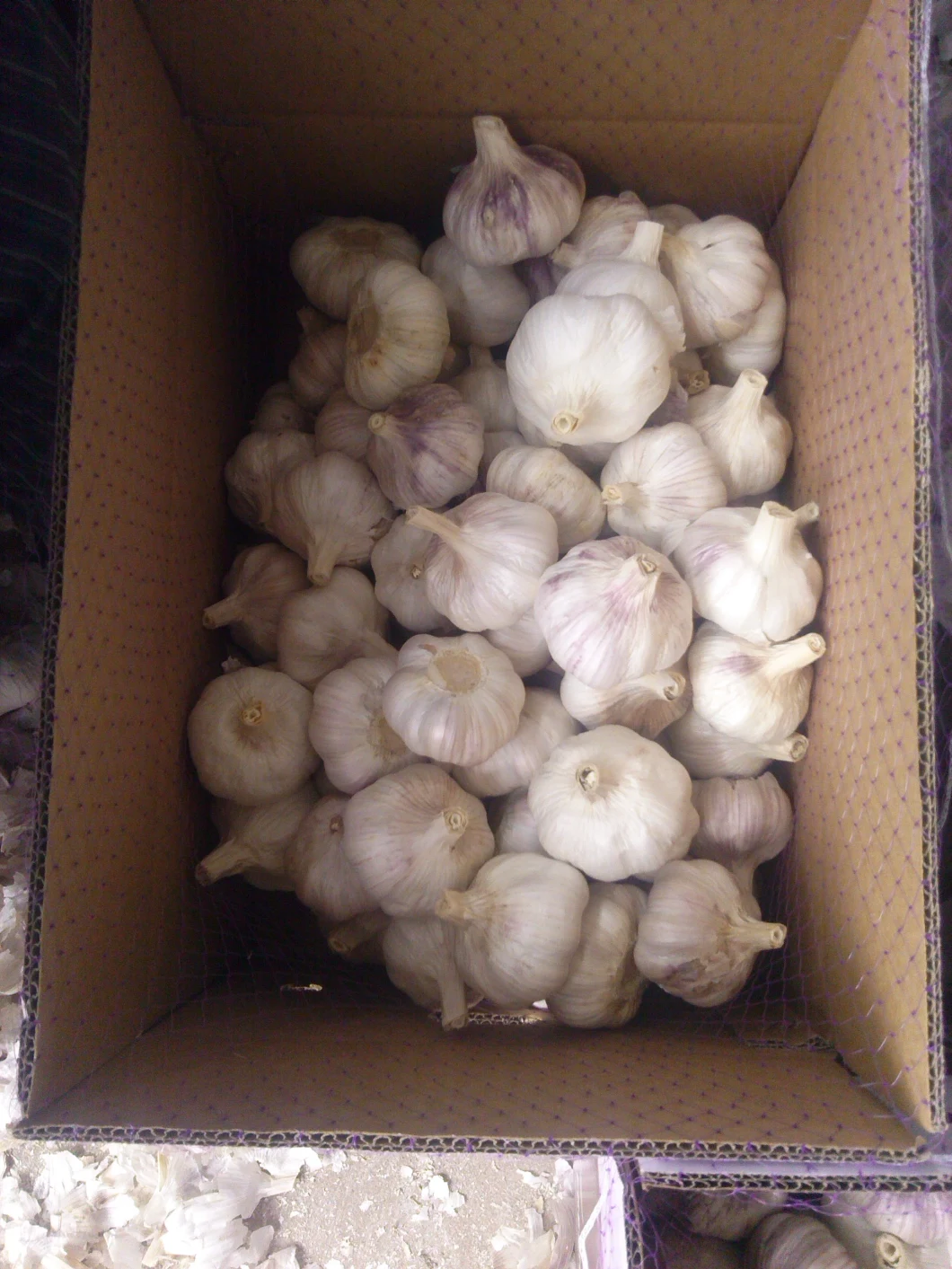 New Crop Good Quality Chinese Fresh White Garlic