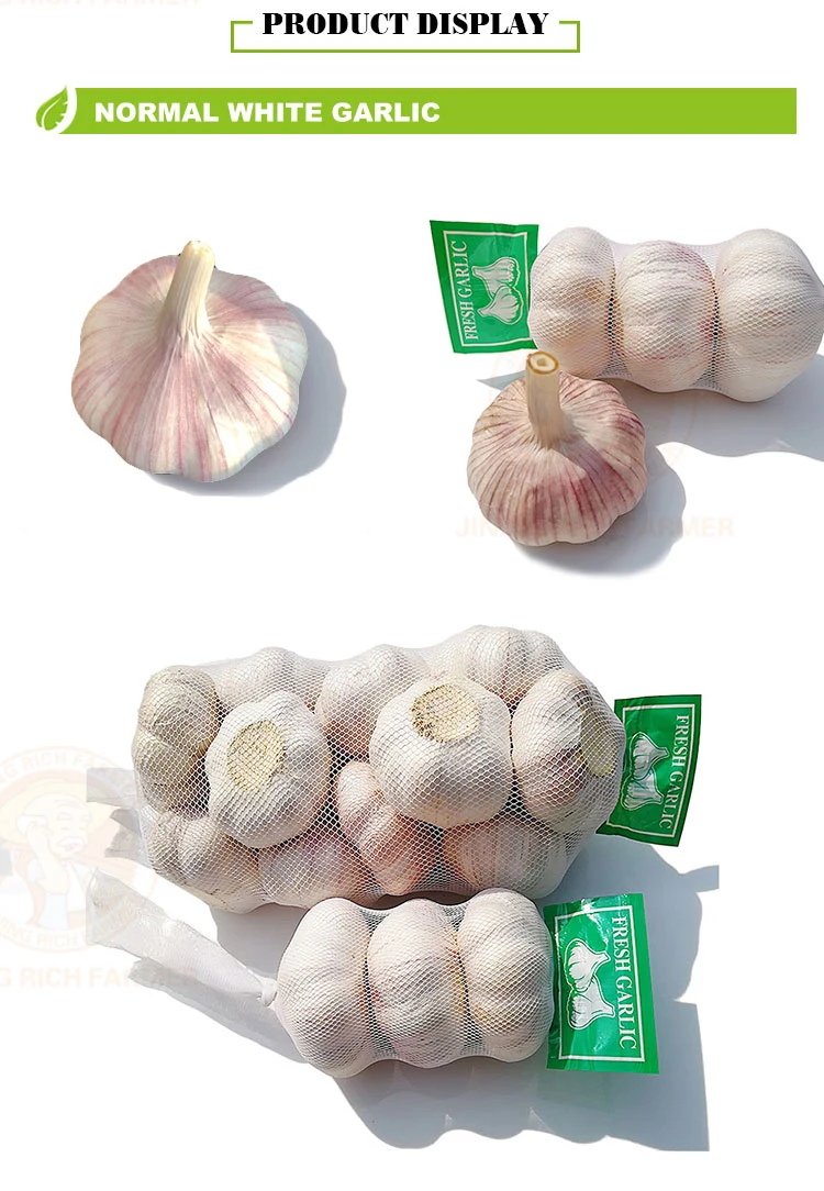 High Quality Fresh Normal White Garlic From Direct Chinese Farm