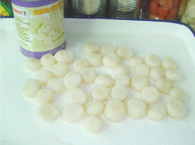 Vegetable Canned Water Chestnut with Best Price