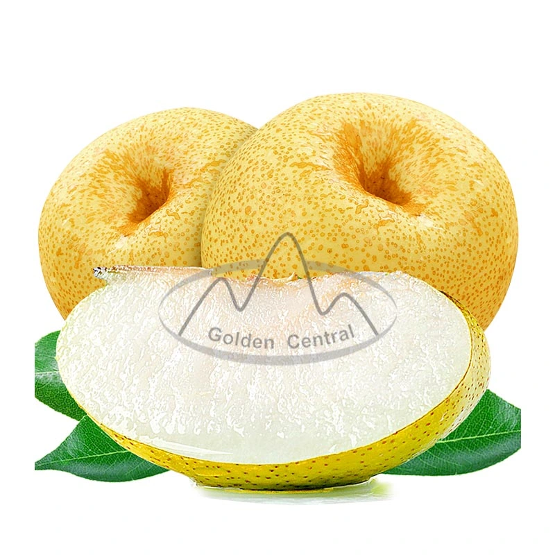 Wholesale Factory Directly Supply Sweet and Juicy China Fresh Ya Pear