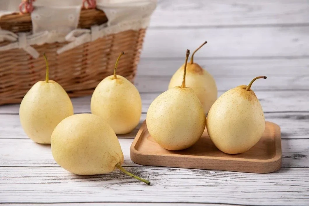 Asian Fresh Singo Pear Organic Korea Pear Sweet and Moisture High Quality Pear From China