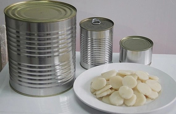 Vegetable Canned Water Chestnut with Best Price